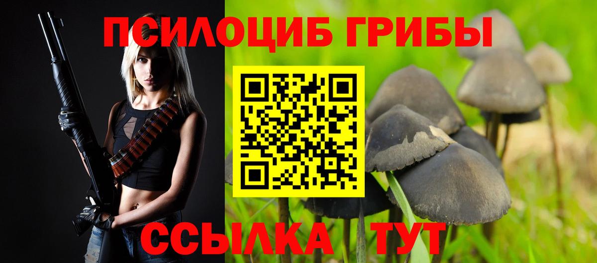 Галлюциногенные грибы Psilocybe  Галлюциногенные грибы прущие грибы  Электрогорск  Вход с VPN 